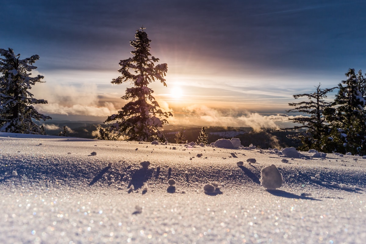 Winter Power Outage: Carbon Monoxide Safety cover